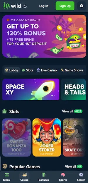 Wild.io Casino mobile app